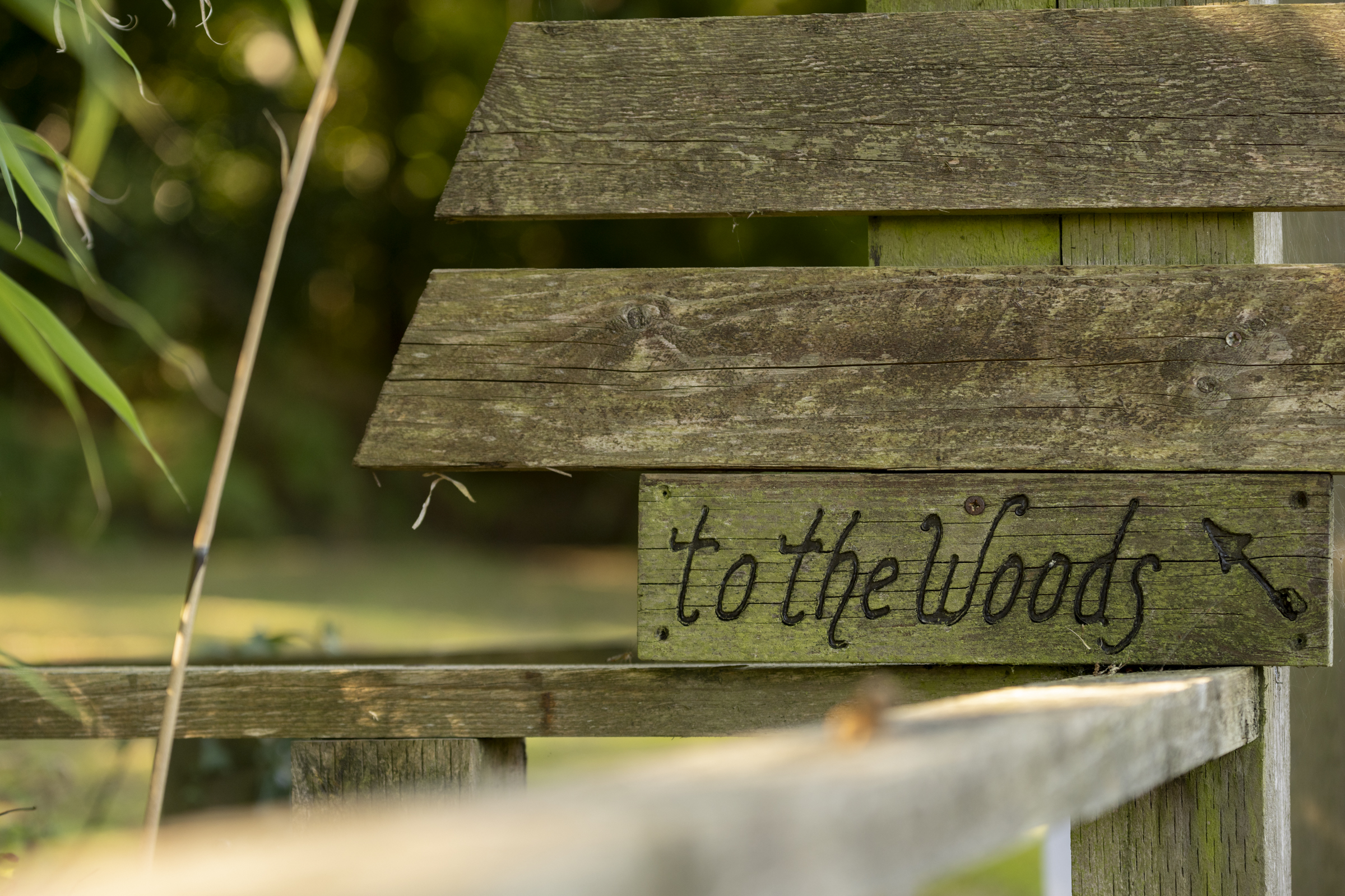 To The Woods sign at Willow Bay