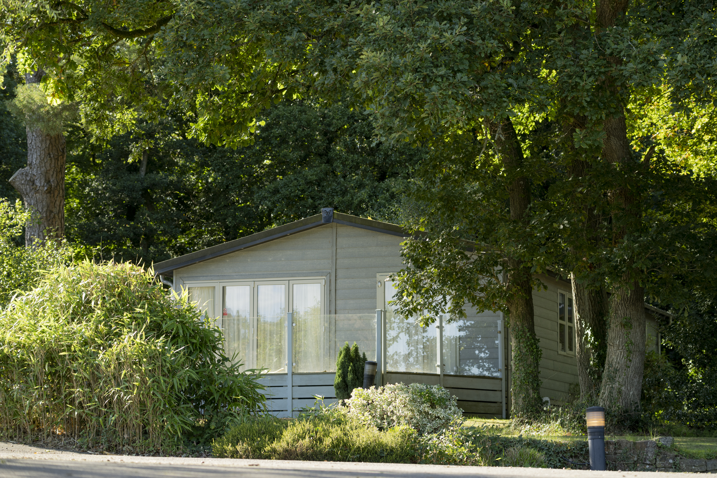 Willow Bay lodge surrounded by trees